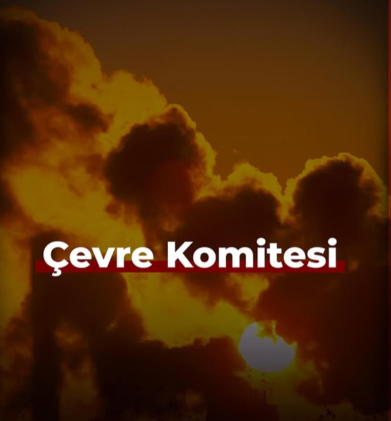 Çevre Komitesi komitesi