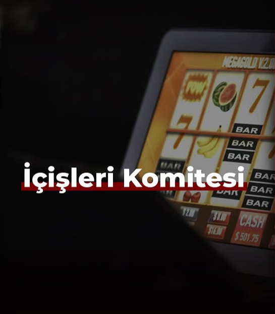 İçişleri Komitesi komitesi