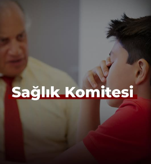 Sağlık Komitesi komitesi